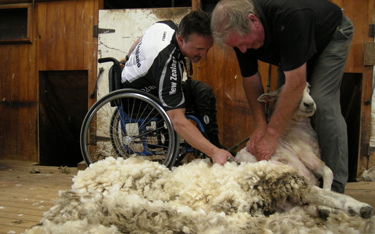Tom Proszowski helps give one of New Zealand's four million sheep a buzzcut